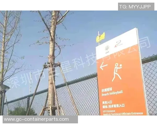 武汉排球队运营策略深度分析与发展前景探讨